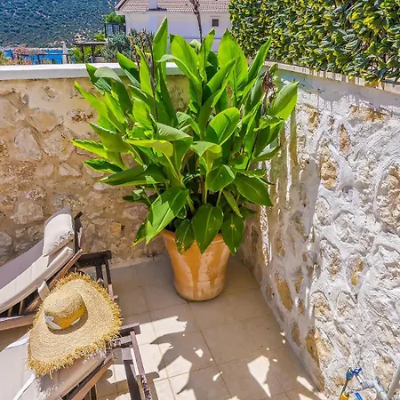 Kalkan 1+1 Pool Flat * 卡斯